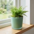 Blomsterpotte i glass grønn plantekasse glassbalje Ø11,5cm H11cm | Floristik24.no