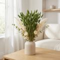 Kaninhalegress (Lagurus) Tørket dekorativt grønt 50-60 cm 50 g tørkede blomster | Floristik24.no