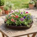 Plantering "Rondino" Ø35-55cm, 1stk | Floristik24.no