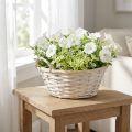 Kurv med håndtak, sponkurv, plantekurv, hvit, vintage, dekorativ, Ø35 cm | Floristik24.no