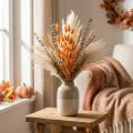 Lagurus Tørket Kaninhalegress Aprikos Dekorative Tørkede Blomster 55-60cm 50g | Floristik24.no