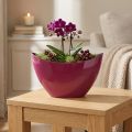 Plantebåt dekorativ skål skål Bær 20×9cm H12cm | Floristik24.no
