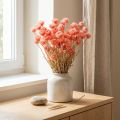 Tørkede blomster lue blomster laksehalm blomster H42cm | Floristik24.no