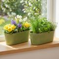 Planteskål oval grønn skål plast 27×11×10cm 3stk | Floristik24.no