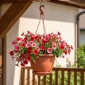 Hengende kurv Galicia Ø30cm terrakotta | Floristik24.no