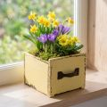 Planteskuff dekorativ plantekasse i tre gul 12,5cm | Floristik24.no
