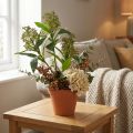 Kunstige grønne Skimmia japonica-blomster, 45 cm, 2 stk. | Floristik24.no
