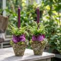 Blomsterpotte rustikk skogslook Ø12,5 cm H12 cm 2 stk | Floristik24.no