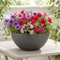 Planteskål plast antrasitt Ø35cm H16,5cm | Floristik24.no
