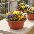 Plastblomsterskål Ø27cm rund skål terrakotta 5 stk | Floristik24.no