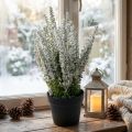 Erika hvit lyng kost lyng kunstplante H26cm | Floristik24.no