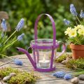 Lyktglass dekorativ vannkanne metall rosa Ø14cm H13cm | Floristik24.no