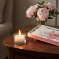 Duftlys telys peon rose peon blush Ø3,5cm 12 stk. | Floristik24.no