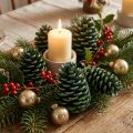 Maritima kongler 10cm - 16cm grønn frostet 12 stk | Floristik24.no