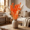 Tørkede blomsterdekorasjon av oransje harehalegress 50-60 cm 50 g - Fløyelsaktig Lagurus til borddekorasjon og håndverk | Floristik24.no
