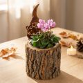 Blomsterpotte i trebark, gnome rustfarget, H24 cm | Floristik24.no