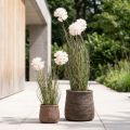 Kunstige blomster dekorative ballblomst allium prydløk kunstig 54cm | Floristik24.no