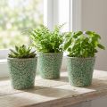 Plantekar keramisk knitrende glasur grønn Ø11cm H11cm 3stk | Floristik24.no