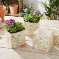 Gavepose plantepose gavepose mønstret 10,5cm 8 stk | Floristik24.no