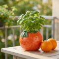 Middelhavs dekorativ oransje vase blomsterpotte keramikk Ø9cm | Floristik24.no