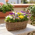 Plantekurv kurv oval vinranke naturlig planteskål L30cm | Floristik24.no