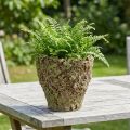 Blomsterpotte rustikk moseutseende Ø17 cm H16,5 cm | Floristik24.no