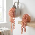 Sedum 'Rubin' hengeplante – dekorativ, lettstelt sukkulent 43 cm 3 stk. | Floristik24.no