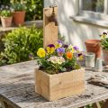 Treplantekasse, fontenetrau, naturlig rustutseende, L15,5 cm | Floristik24.no