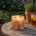 Duftlys i glass Citronella lys retro design Ø8cm H8cm | Floristik24.no