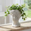 Plantepotte damehode dekorativ plantekasse hvitvasket 15×16×21cm | Floristik24.no
