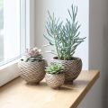 Dekorskål Keramisk Spiraldekor Beige Brun Ø9cm 4stk | Floristik24.no