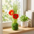 Valmuerød i gresset 23cm | Floristik24.no