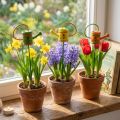 Blomsterplugg vannkanne tregrønn, gul, oransje assortert 7,5cm x 5,9cm H30,5cm 12 stk. | Floristik24.no