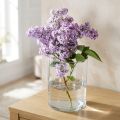 Glassvase klar sylindrisk Ø12cm H20cm | Floristik24.no