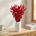 Kaninhalegress (Lagurus) Tørket rødt 60 cm 50 g tørket blomsterdekorasjon | Floristik24.no