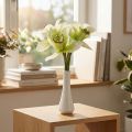 Kunstige orkideer kunstige blomster i vase hvit/grønn 28cm | Floristik24.no