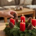 Maritima kongler, naturlige, 5-10 cm på pinne, 50 stk. | Floristik24.no