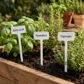 Planteetikett for skifte 32cm 10stk | Floristik24.no