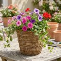 Kurv for vinranker Ø25 cm H22,5 cm naturlig plantekasse | Floristik24.no