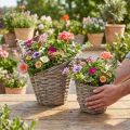 Blomsterpottekurv pil naturlig Ø12,5 cm/20 cm 2-delers sett dekorasjon vintage rustikk | Floristik24.no