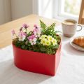 Romantisk plante hjerte planteskål hjerte rød 15×15×7cm 3stk | Floristik24.no
