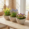 Plantebåt pynteskål plast beige 20×9cm H12cm 3stk | Floristik24.no