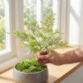Kunstig bregne kunstplante i grønn flokket L45cm | Floristik24.no