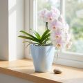 Orkidepotte blank Ø12,5cm hvit 1 stk | Floristik24.no
