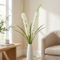 Ørkenhale hvit 106cm | Floristik24.no