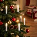 LED trelys 10cm varmhvit med fjernkontroll 10stk | Floristik24.no