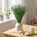 Tørket lingress, grønt, 50-55 cm, dekorativ DIY | Floristik24.no