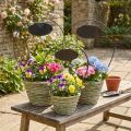 Blomsterkurv med håndtak og metallskilt, Ø23/20/17 cm, sett med 3. | Floristik24.no