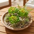 Echeveria kunstige sukkulenter Grønn Ø7cm 6 stk | Floristik24.no