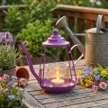 Telysholder glass lanterne tekanne rosa Ø13cm H22cm | Floristik24.no
